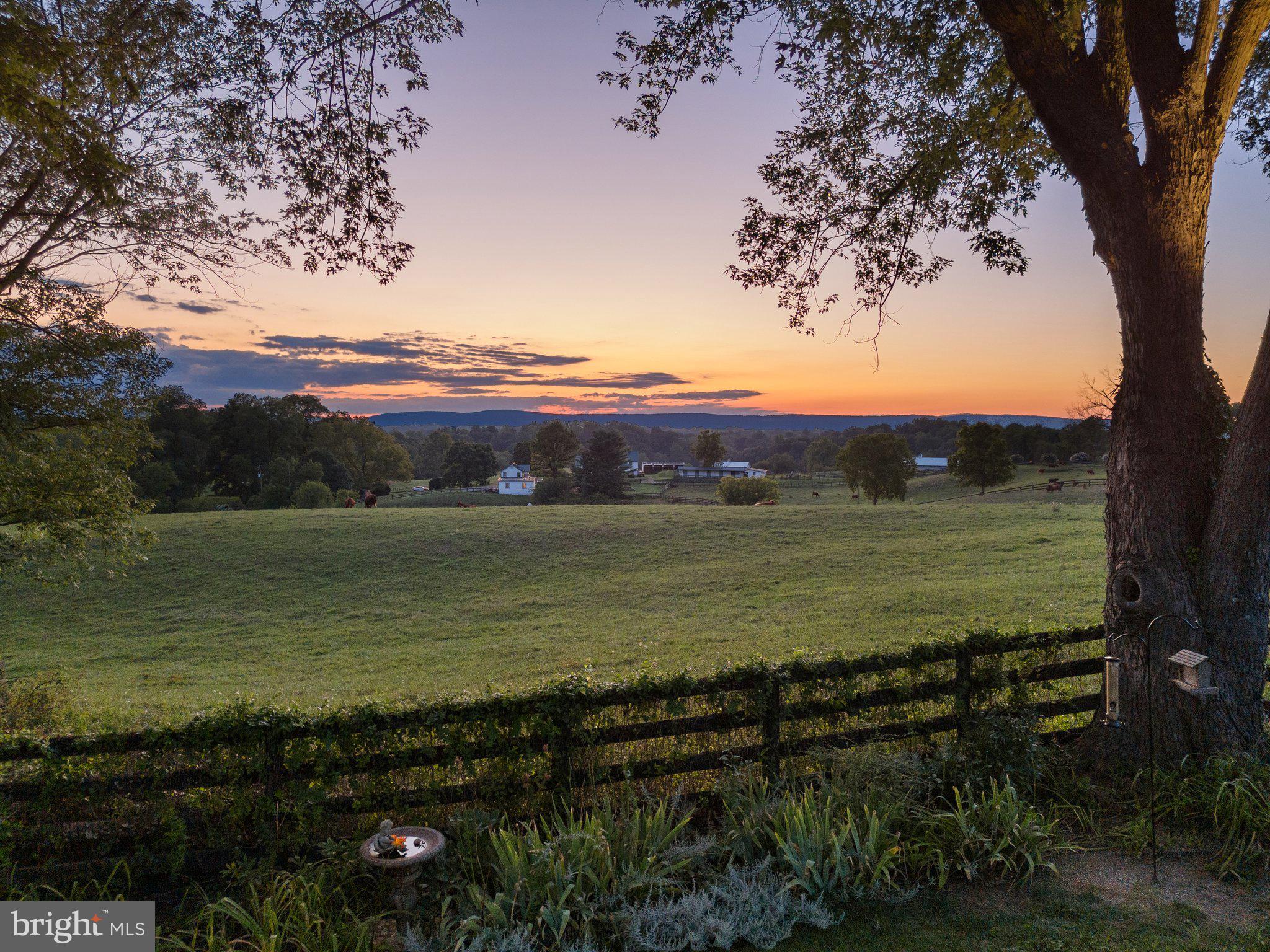 22780 Foxcroft Road Middleburg, VA 20117 - Photo 6 of 41 Property has stunning Blue Ridge Mountain views!