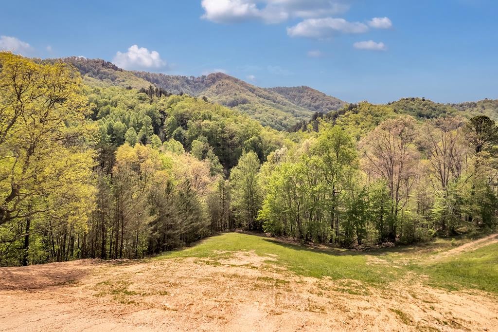 4139 Elk Rdg Way Sevierville, TN 37862 - Photo 4 of 37