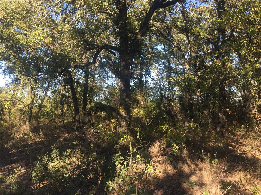 0 Starr Mann Road St. Jo, TX 76265 - Photo 3 of 12 a view of tree