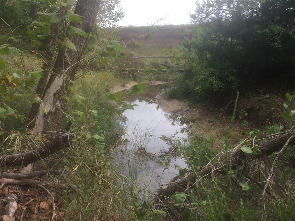 0 Starr Mann Road St. Jo, TX 76265 - Photo 9 of 12 a view of a small yard