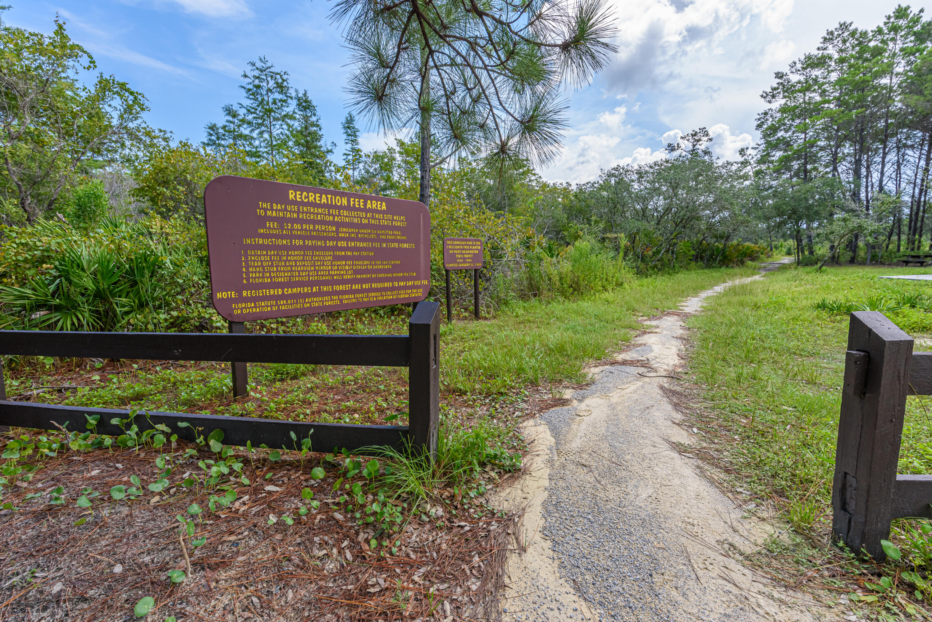 281 Elm Street Santa Rosa Beach, FL 32459 - Photo 36 of 37 a view of a bench in the garden