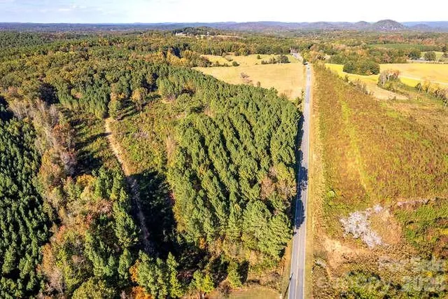 a view of a city with lush green forest
