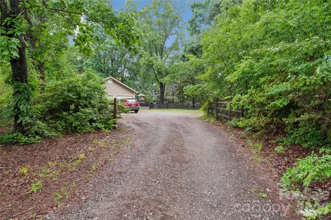 a view of a dirt road with plants and large trees