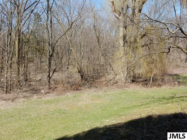 1330 West Stoll Road Dewitt, MI 48820 - Photo 20 of 21 Photo 20