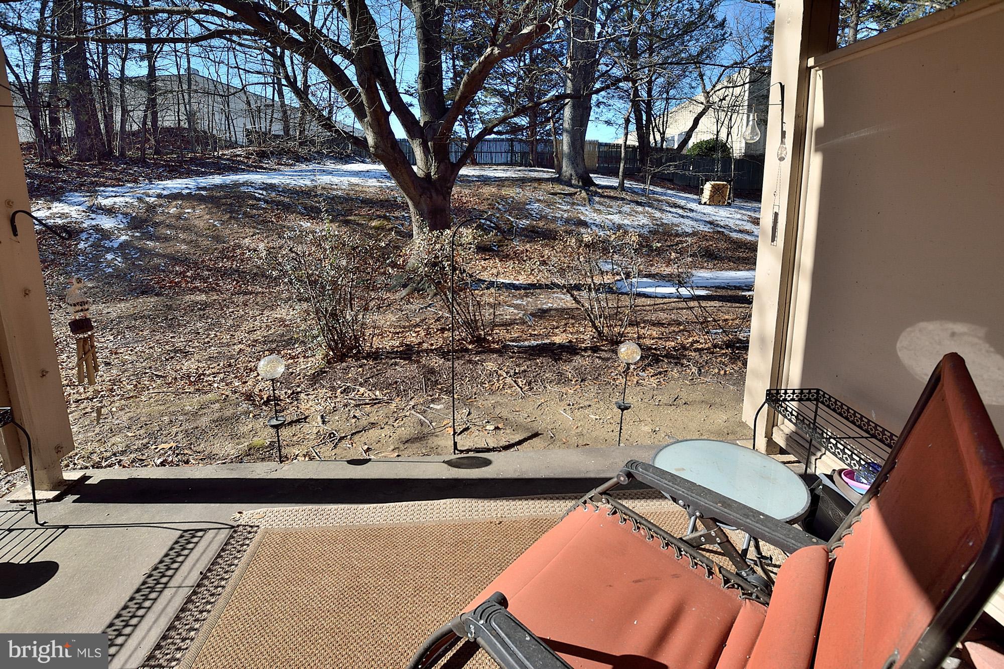 5822 Royal Ridge Drive, Unit M Springfield, VA 22152 - Photo 15 of 16 Patio View Backing to Trees