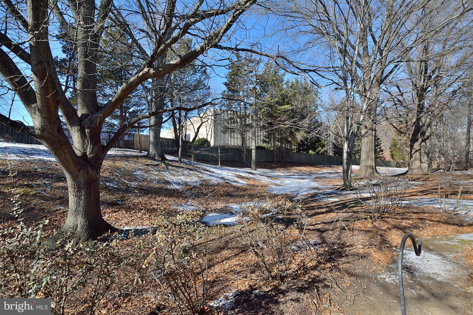 5822 Royal Ridge Drive, Unit M Springfield, VA 22152 - Photo 16 of 16 Patio View Backing to Trees