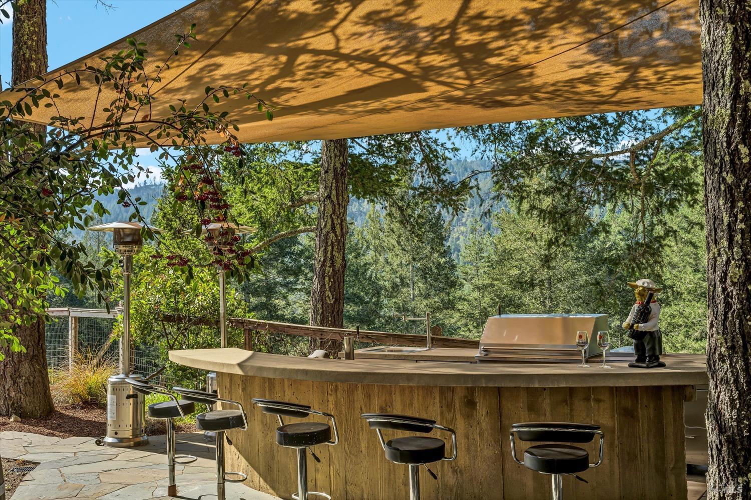 511 Kortum Canyon Road Calistoga, CA 94515 - Photo 58 of 87