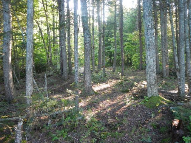 Lot H Burlington Beach Road Burlington, ME 04417 - Photo 8 of 13 Photo