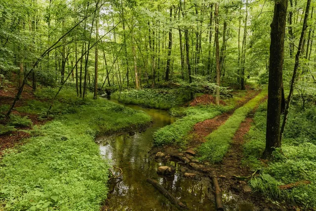 a view of yard with green space