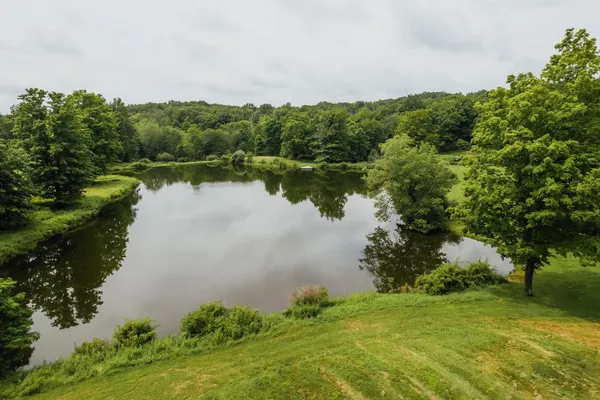 a view of a lake from a yard