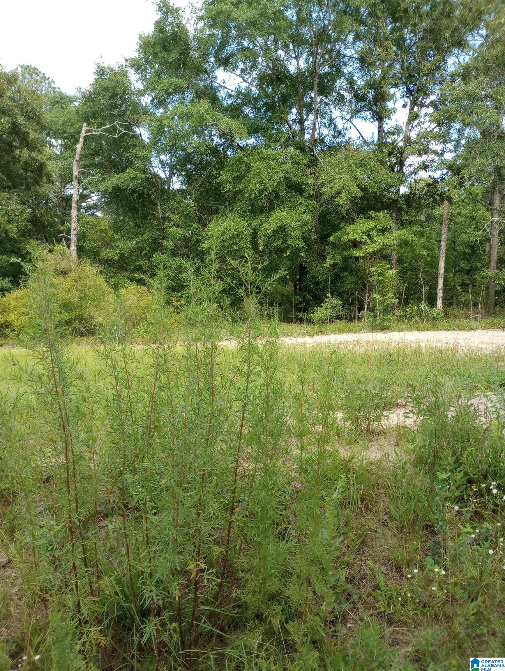 195 Hyram Road Seale, AL 36875 - Photo 3 of 4