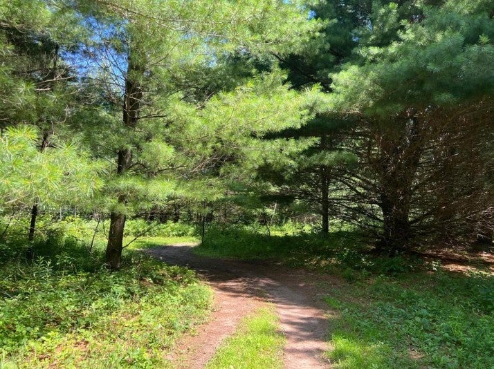 0 Lily Lake Inn Road Webster, WI 54893 - Photo 13 of 14 Gallery Image 13