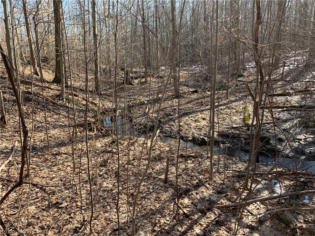 Brown Road Jefferson, OH 44047 - Photo 20 of 31 Gallery Image 20