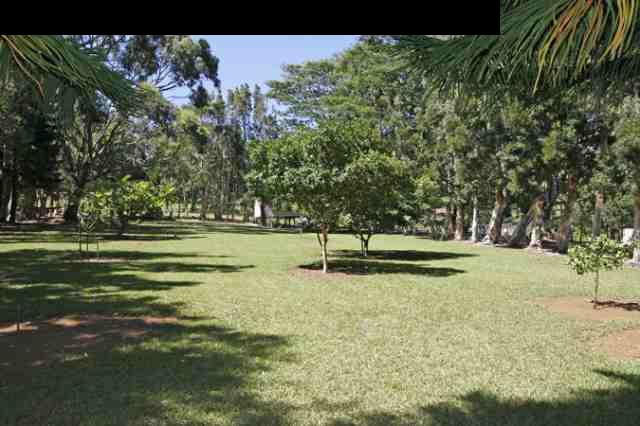 260 Kaokoa Way, Unit 4 Haiku, HI 96708 - Photo 9 of 30 Gallery Image 9