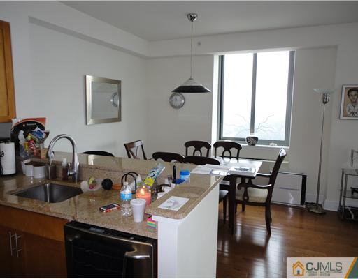 1 Spring Street, Unit 2202 New Brunswick, NJ 08901 - Photo 9 of 20 Gallery Image 9