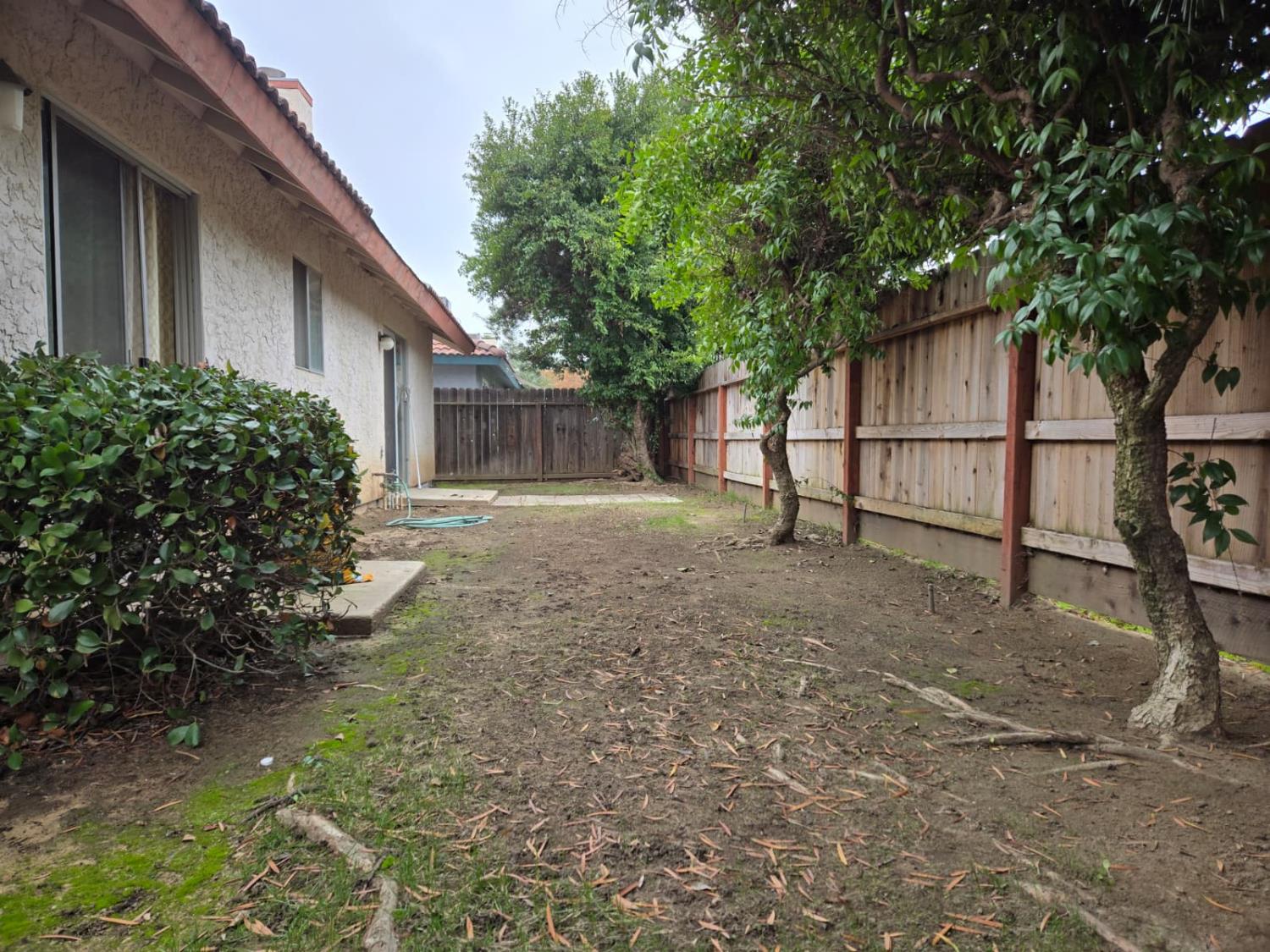 2645 Fowler Avenue Clovis, CA 93611 - Photo 11 of 11 a backyard of a house with lots of green space