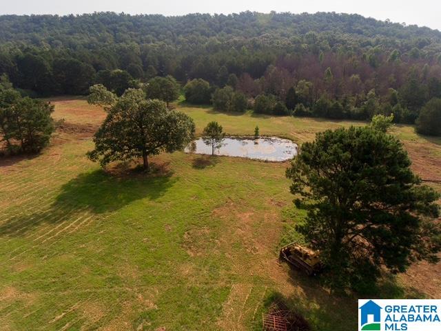 0 Stone Ridge Trail, Unit 50 87 Anniston, AL 36207 - Photo 7 of 15