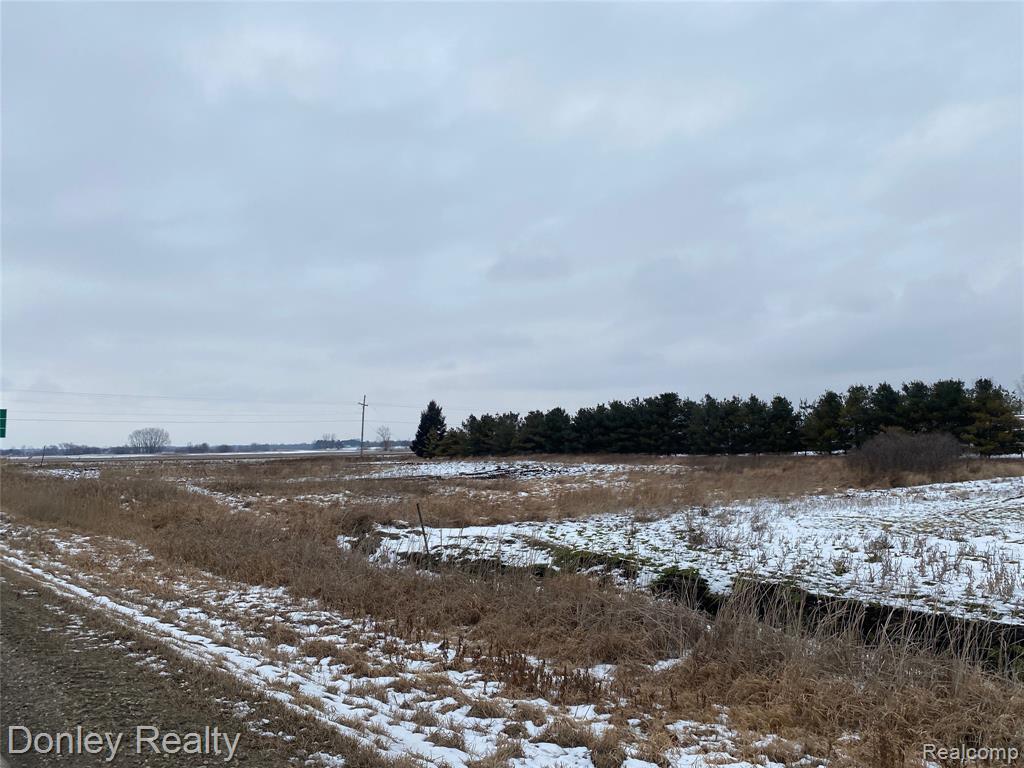0 Maple Valley Road Brown City, MI 48416 - Photo 4 of 4
