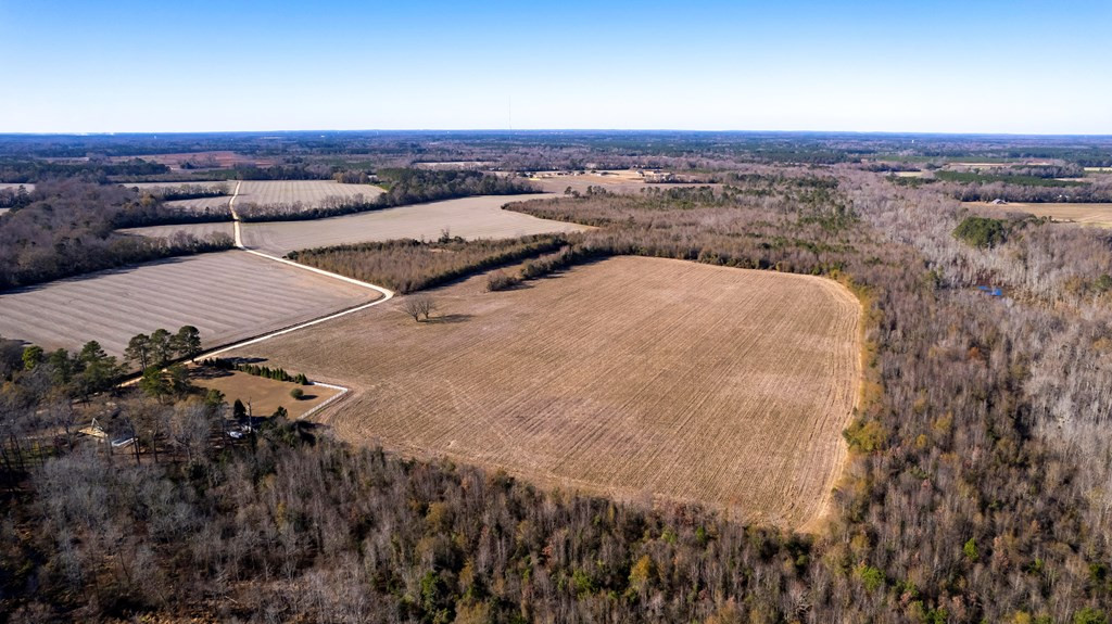 3700 Britton Road Sumter, SC 29153 - Photo 12 of 26