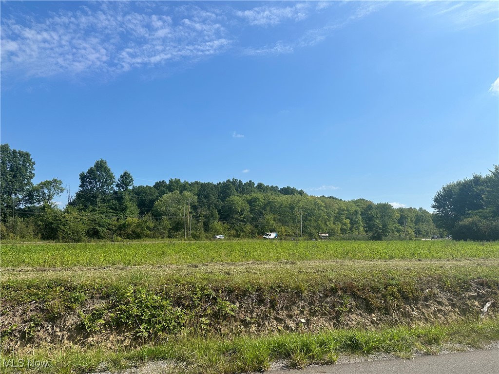 Naylor Lloyd Road Girard, OH 44420 - Photo 3 of 4
