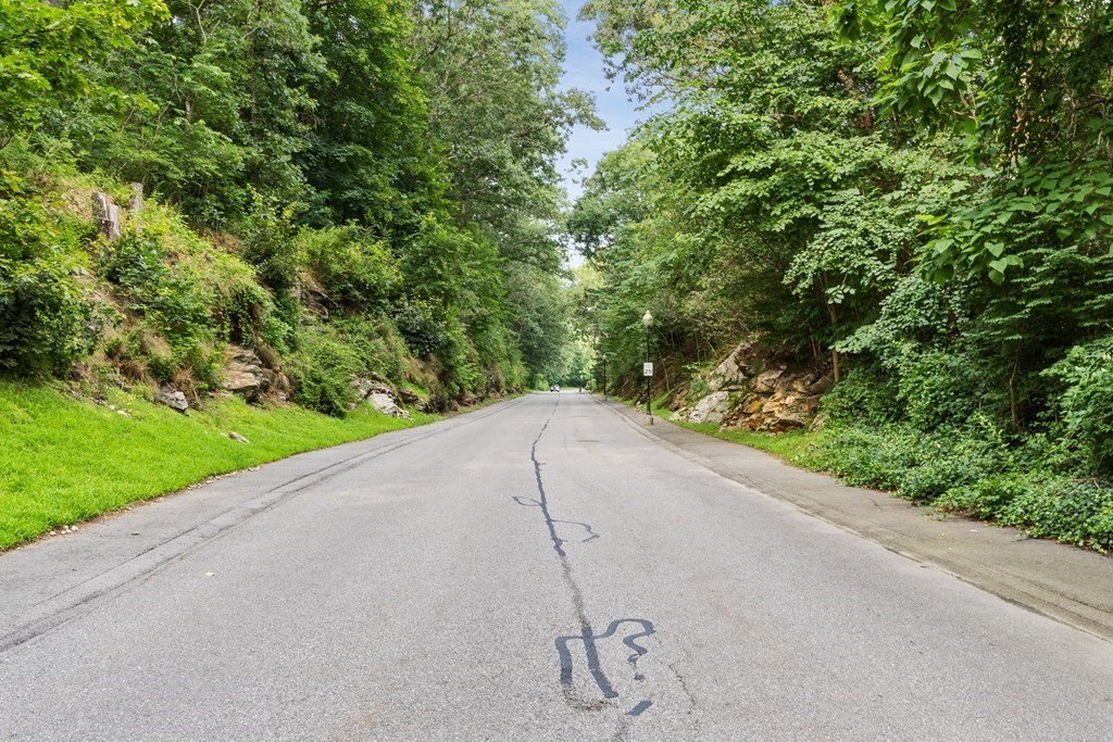 29 Ledgebrook Drive, Unit 29 Blackstone, MA 01504 - Photo 3 of 38 a view of a road from a yard