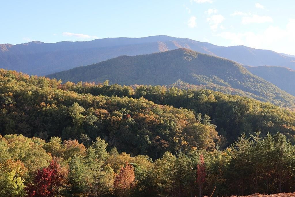 250 Sonshine Ridge Road Cosby, TN 37722 - Photo 1 of 15
