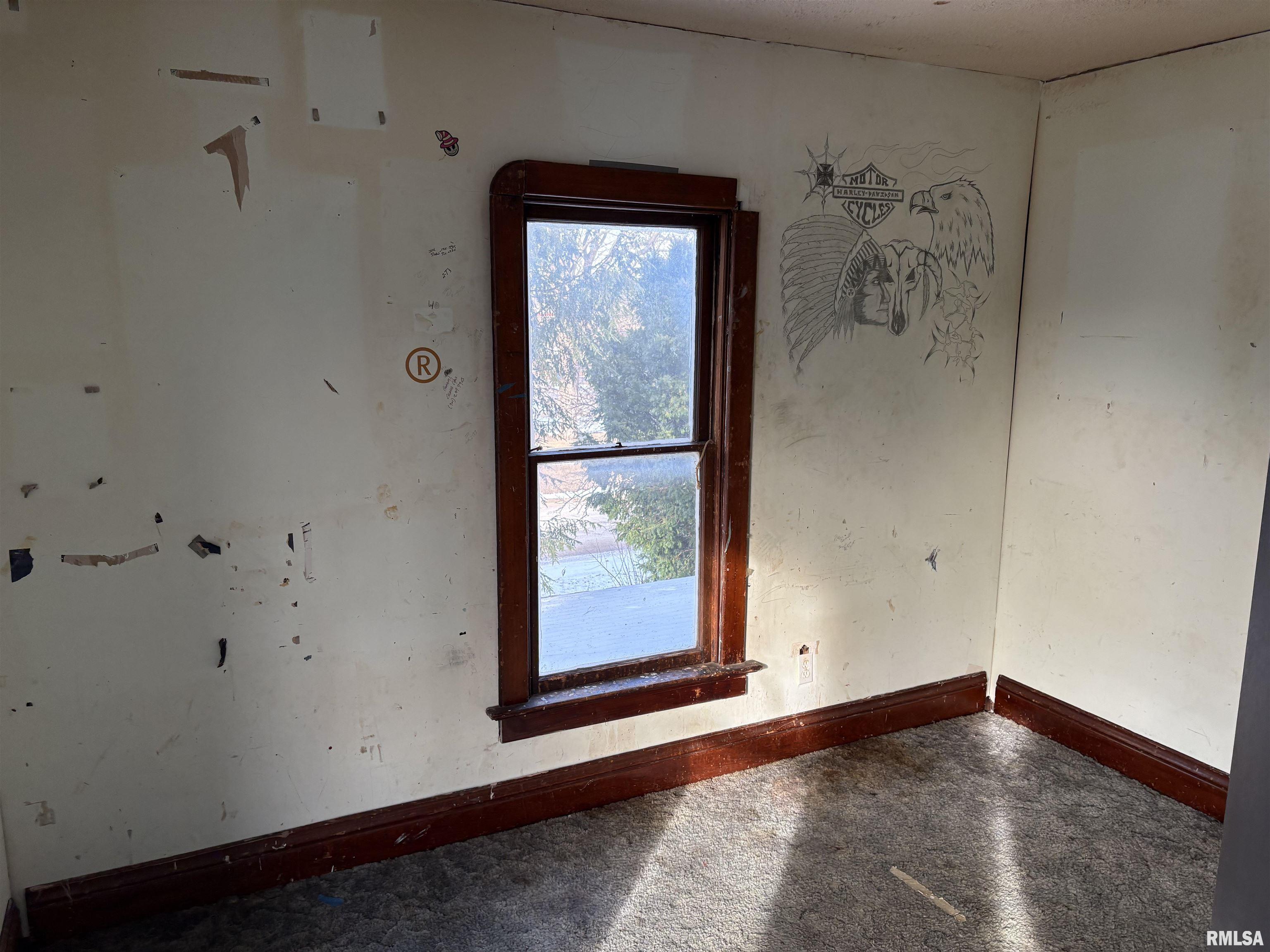 103 Southwest 4th Street Galva, IL 61434 - Photo 19 of 50