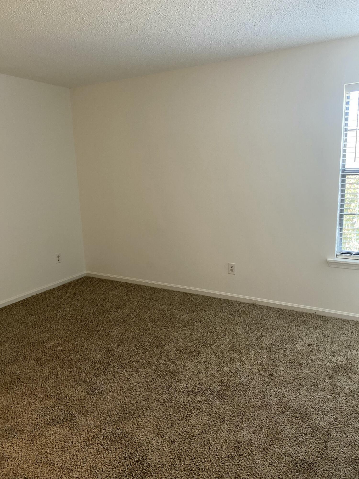 8040 Thelen Street North Charleston, SC 29406 - Photo 5 of 13 IMG_2665