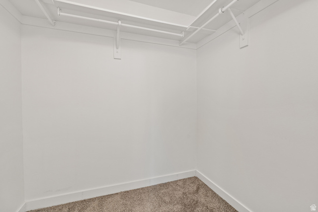 8204 North Cedar Springs Road, Unit 2 Eagle Mountain, UT 84005 - Photo 9 of 17 Walk in closet with carpet flooring