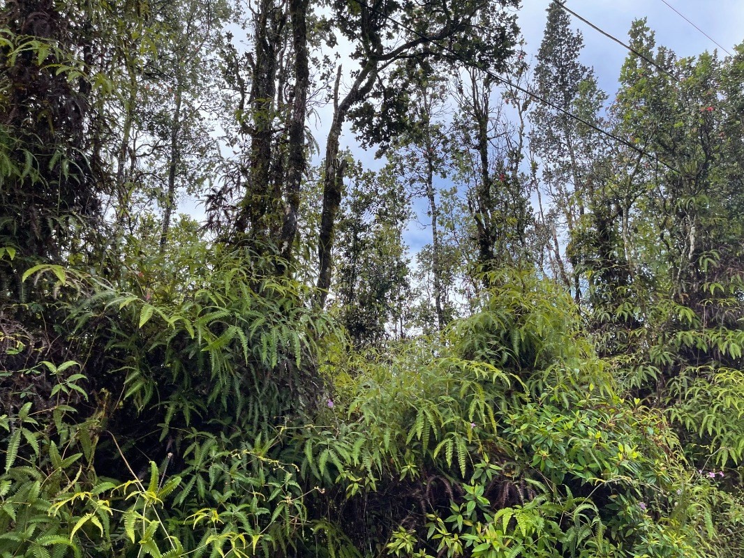 14-3440 Lot 1004 Shell Road Pahoa, HI 96778 - Photo 2 of 9 Gallery Image 2