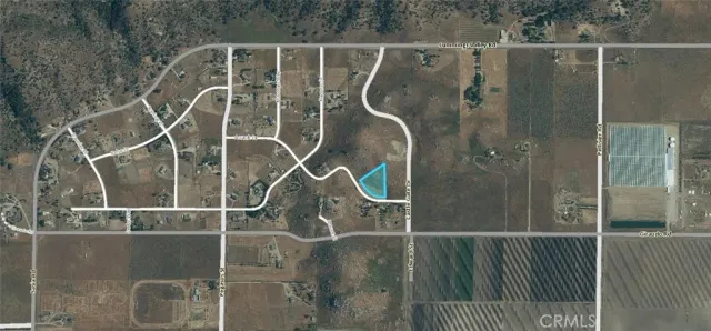 a close up of a plant