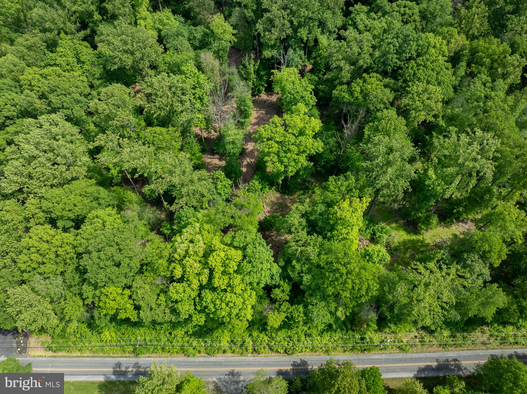 1672 Hollow Road Chester Springs, PA 19425 - Photo 5 of 7