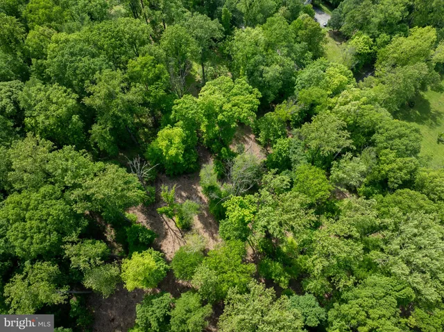 an aerial view of a forest with houses