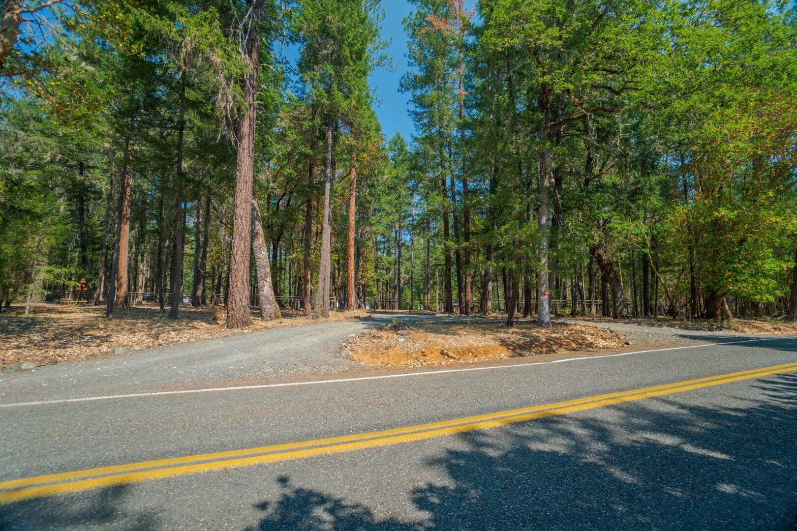 1111 Powell Creek Road Williams, OR 97544 - Photo 65 of 85 DSC01008