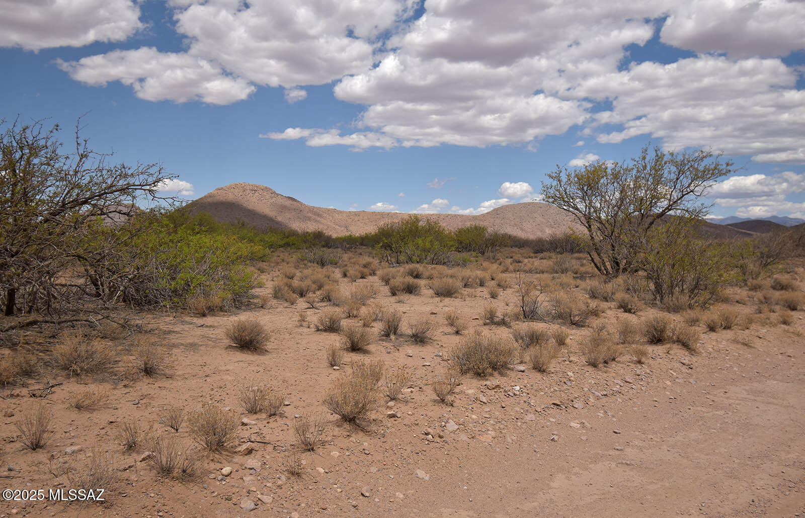 2.7-ac West Austin Henely Road, Unit 706 Elfrida, AZ 85610 - Photo 16 of 17
