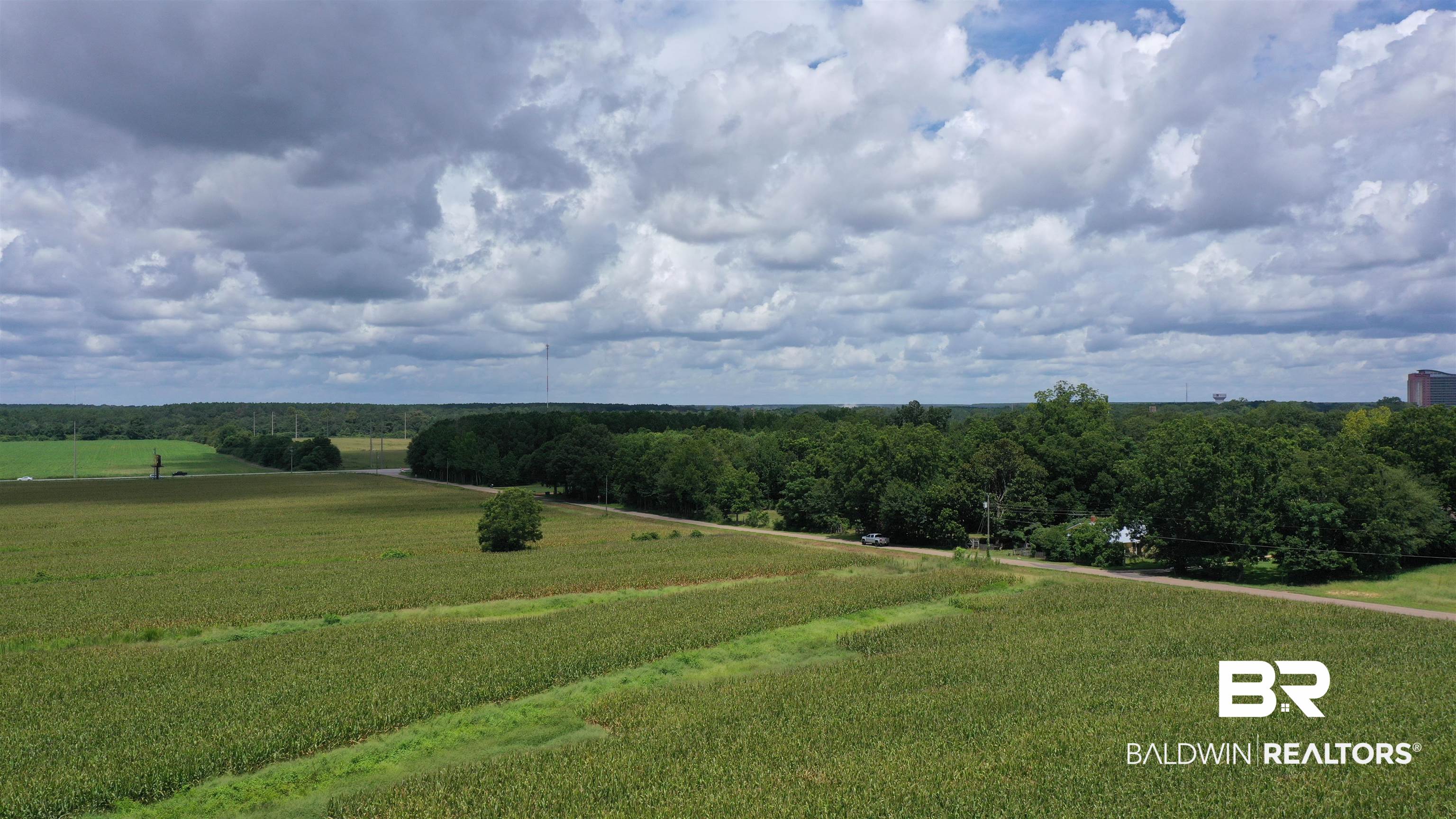 3 Highway 21 Atmore, AL 36502 - Photo 8 of 18 View of yard featuring a rural view