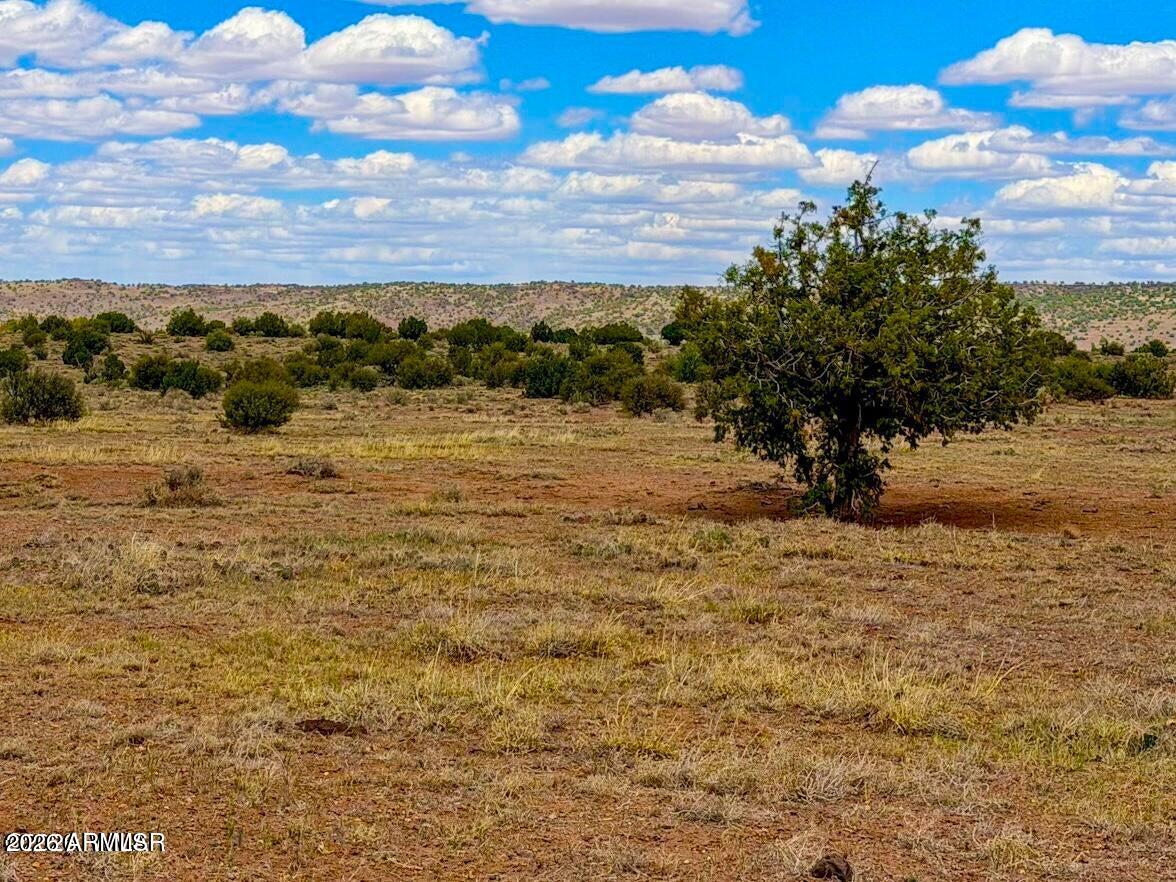 85 Co Road Concho, AZ 85924 - Photo 23 of 24 a view of a lake view