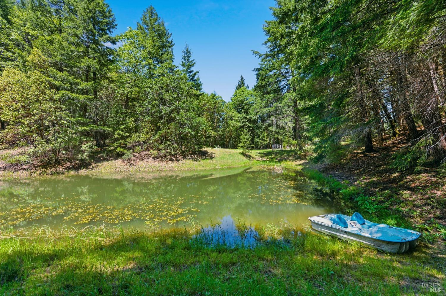 31300 Sherwood Road Willits, CA 95490 - Photo 46 of 57