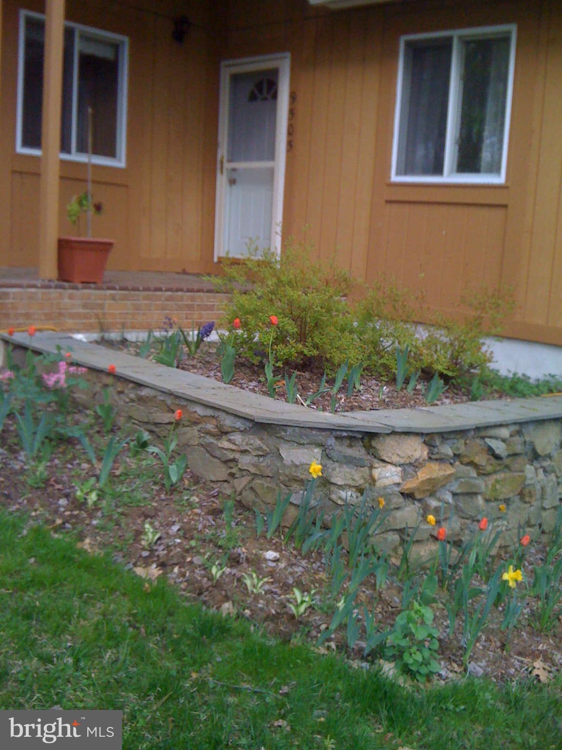 9505 Stewartown Road Gaithersburg, MD 20879 - Photo 3 of 30 Front entrance walkway spring landscaping