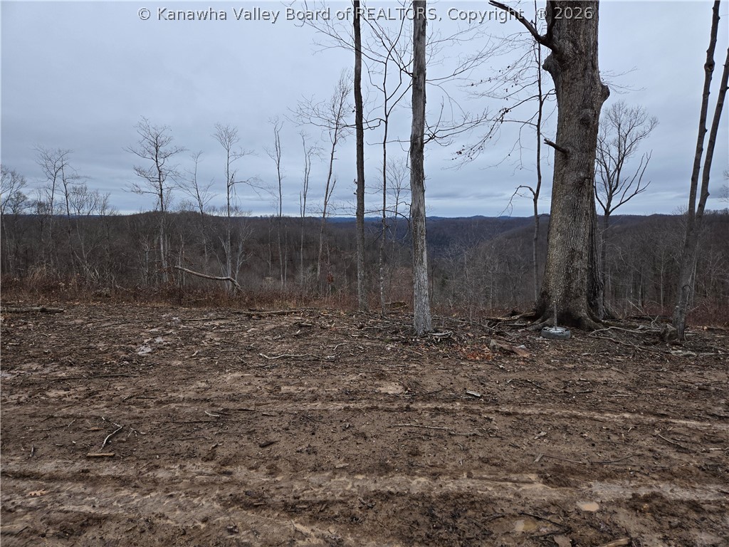 0 Beechy Road Procious, WV 25164 - Photo 29 of 29 Gallery Image 29