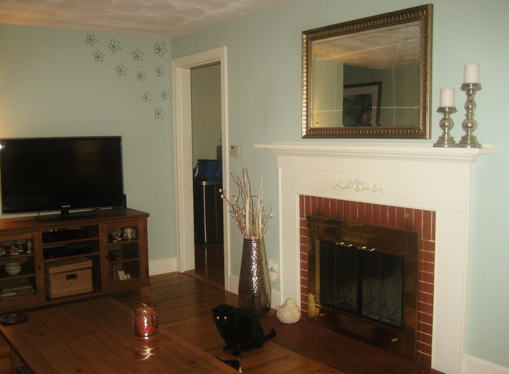 229 Chalmers Street Springfield, MA 01118 - Photo 3 of 21