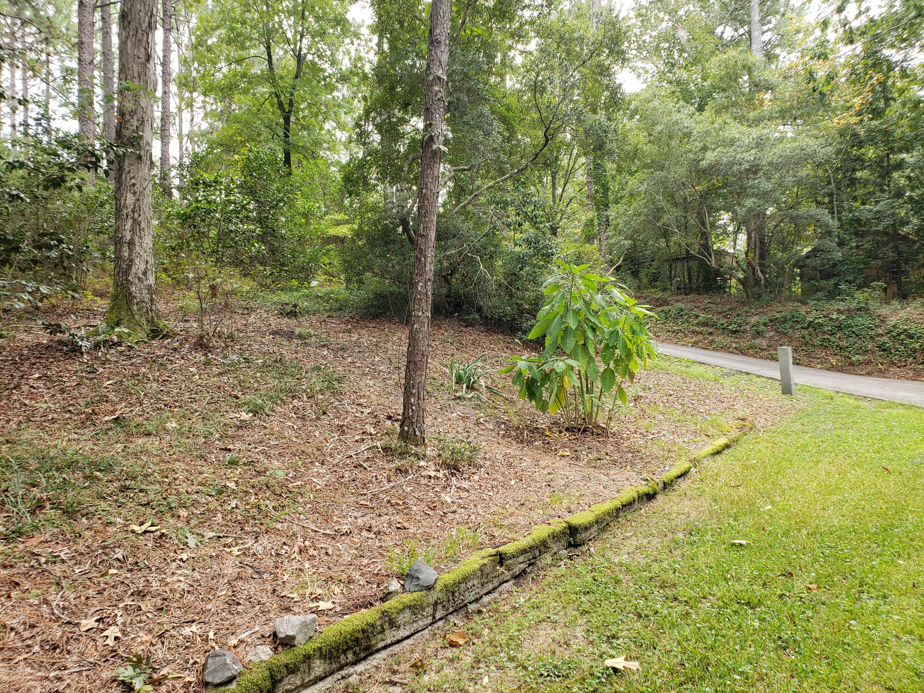 2139 Trail Point Aiken, SC 29803 - Photo 7 of 32 Gallery Image 7