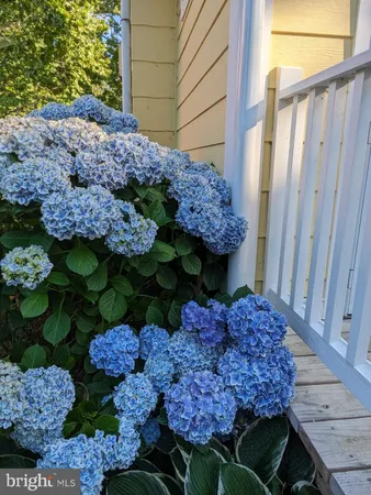 $410,000 | 104 Windsor Avenue, Centreville, MD 21617