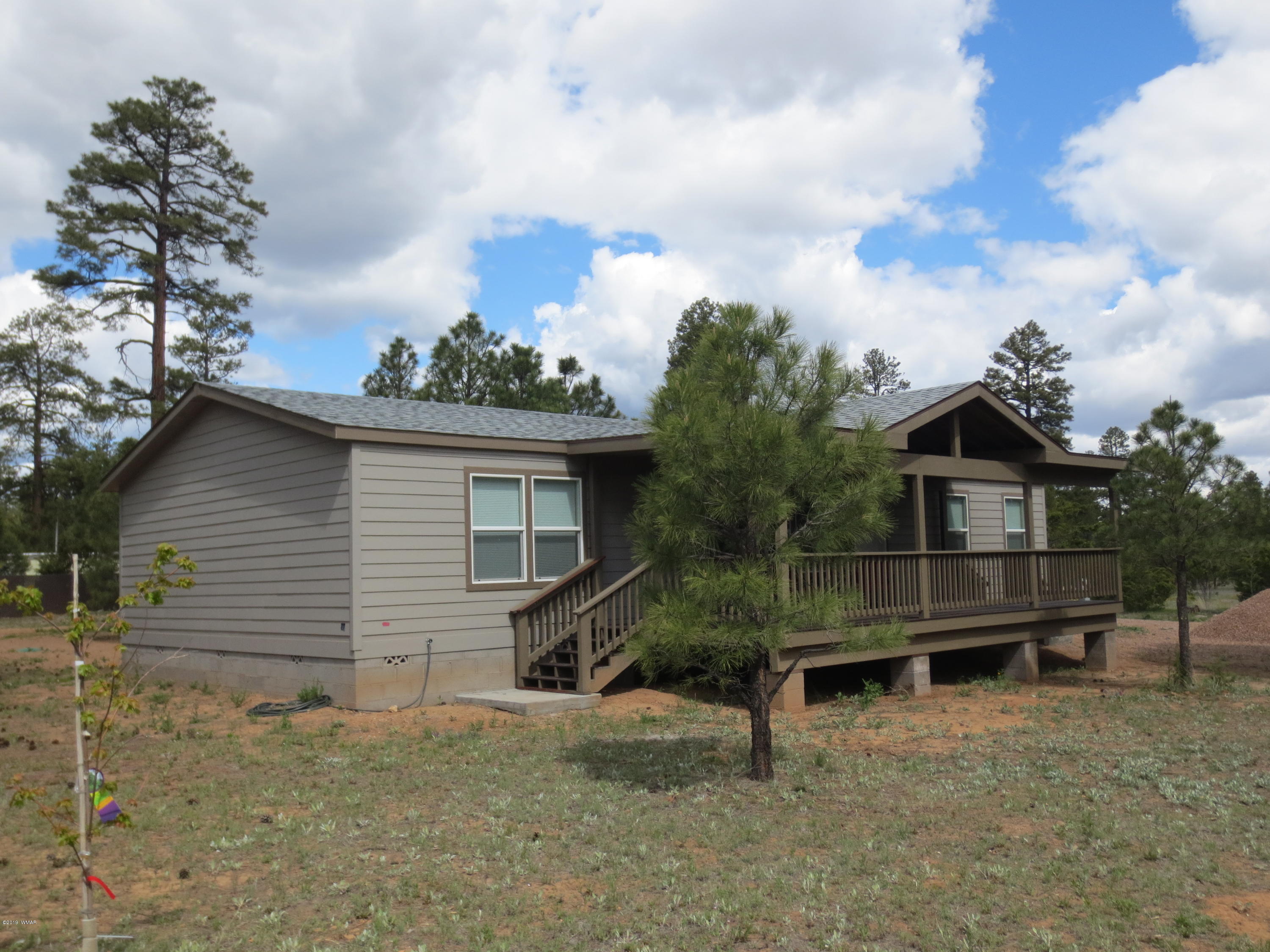 2906 Paint Pony Lane Overgaard, AZ 85933 - Photo 2 of 31