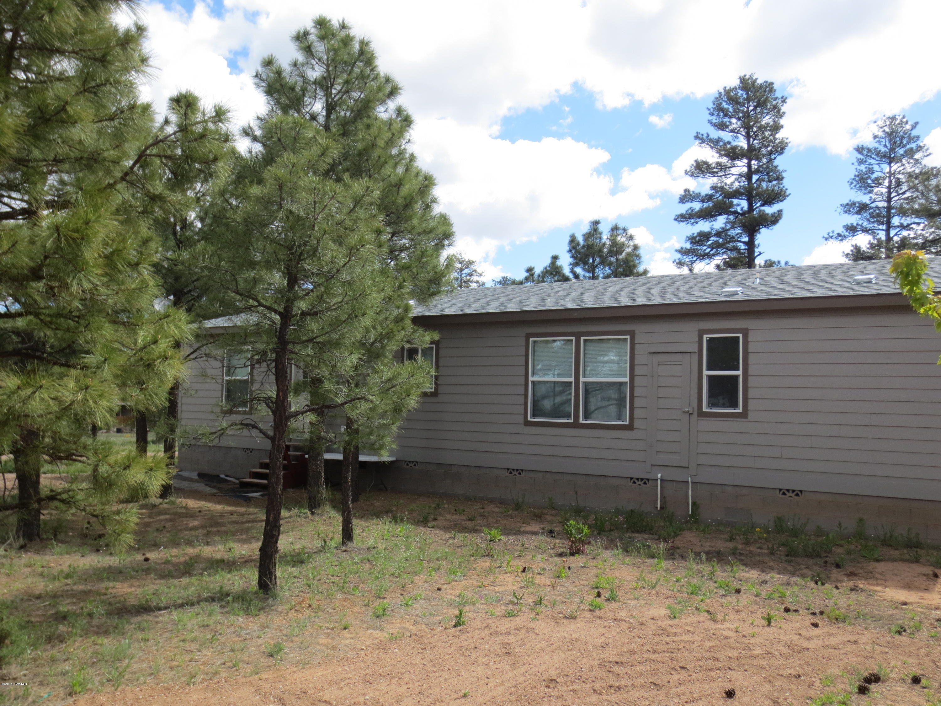2906 Paint Pony Lane Overgaard, AZ 85933 - Photo 9 of 31