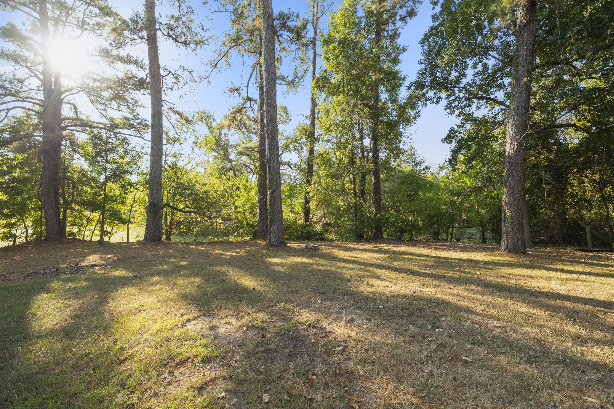 37111 Middle Trail Magnolia, TX 77354 - Photo 32 of 36 a view of a yard with large trees