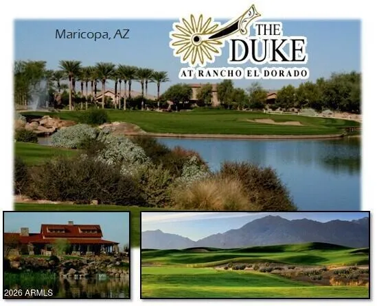 a view of a basket ball ground