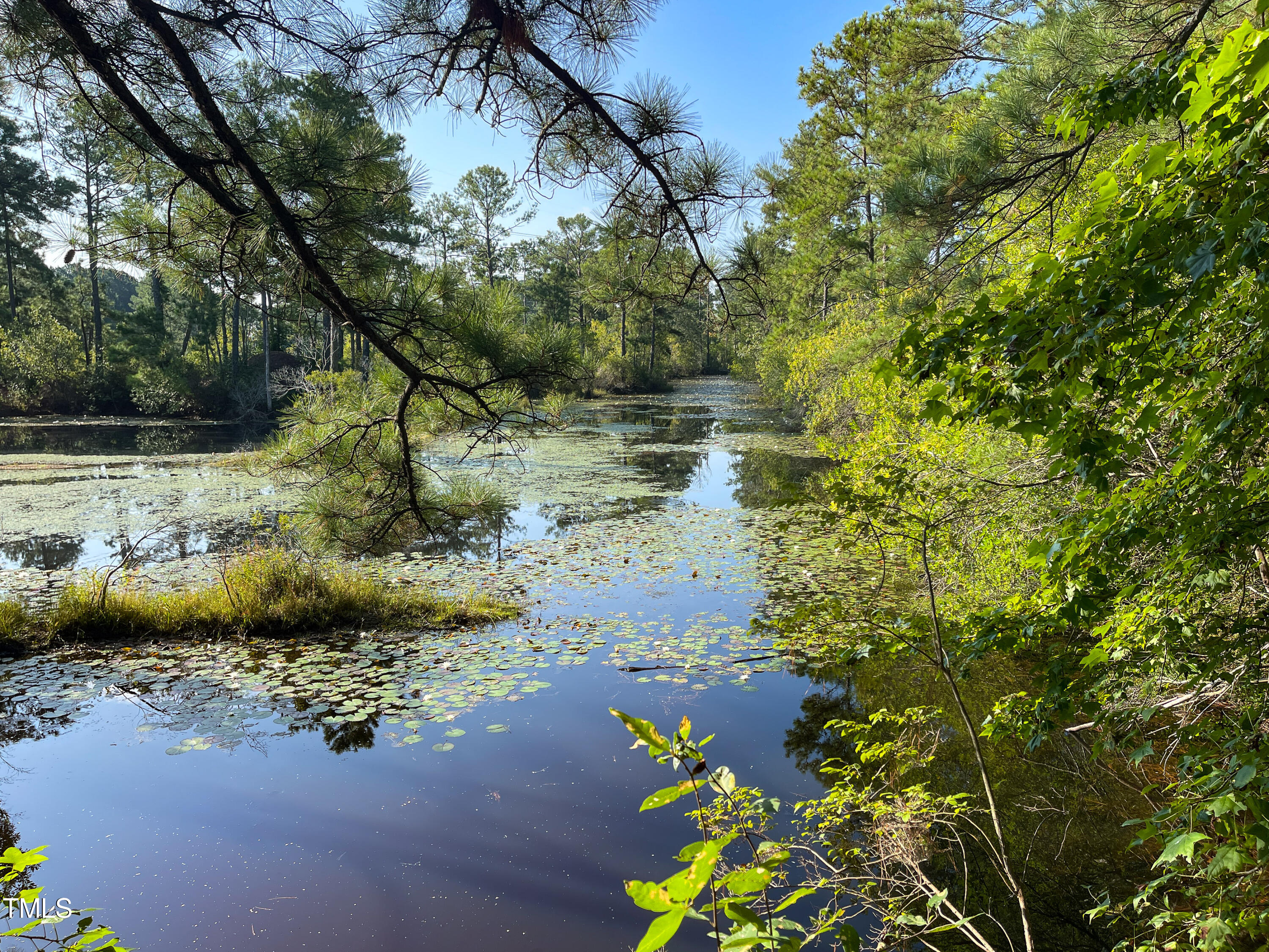 614 Old Hamilton Road Dunn, NC 28334 - Photo 7 of 8 water holes
