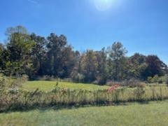 0 Mcghee Branch Road Buchanan, TN 38222 - Photo 3 of 15 Gallery Image 3