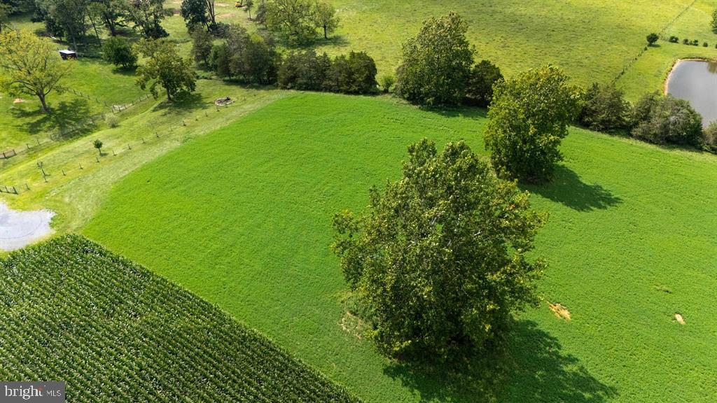 0 Centerville Road Bridgewater, VA 22812 - Photo 8 of 24 Gallery Image 8